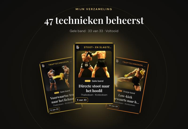 Mijn verzameling in de GCSF-app: 47 technieken beheerst